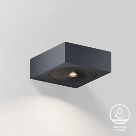 Luci Down Outdoor Wall Light